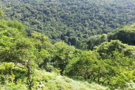 Development Land (Residential) for Sale in Balaclava