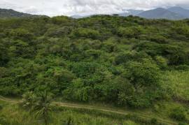 Development Land (Residential) for Sale in Seaforth