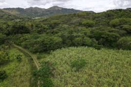 Development Land (Residential) for Sale in Seaforth