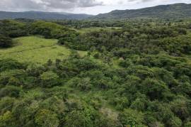 Development Land (Residential) for Sale in Seaforth