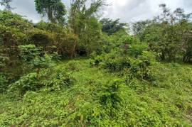 Development Land (Residential) for Sale in Seaforth