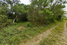 Development Land (Residential) for Sale in Seaforth