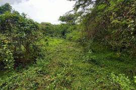 Development Land (Residential) for Sale in Seaforth