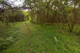 Development Land (Residential) for Sale in Seaforth