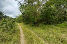 Development Land (Residential) for Sale in Seaforth