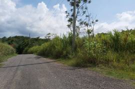 Development Land (Residential) for Sale in Runaway Bay