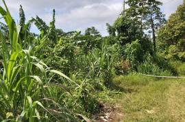 Development Land (Residential) for Sale in Runaway Bay