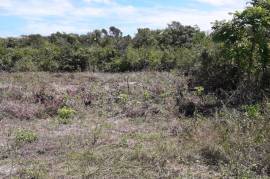 Development Land (Residential) for Sale in Discovery Bay