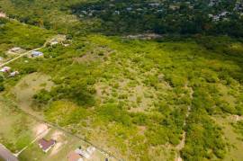 Development Land (Residential) for Sale in May Pen