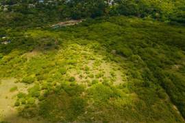 Development Land (Residential) for Sale in May Pen