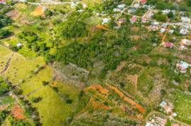 Development Land (Residential) for Sale in Walderston