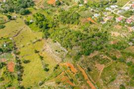 Development Land (Residential) for Sale in Walderston