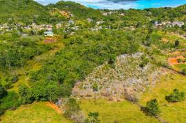 Development Land (Residential) for Sale in Walderston