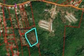 Development Land (Residential) for Sale in Ewarton