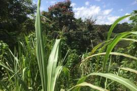 Development Land (Residential) for Sale in Bamboo