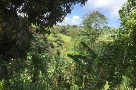 Development Land (Residential) for Sale in Bamboo