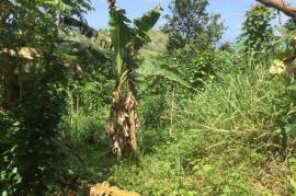 Development Land (Residential) for Sale in Bamboo