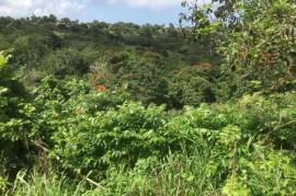 Development Land (Residential) for Sale in Bamboo