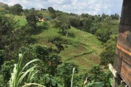 Development Land (Residential) for Sale in Bamboo