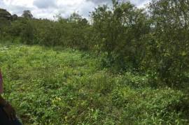 Development Land (Residential) for Sale in Bamboo