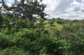 Development Land (Residential) for Sale in Bamboo