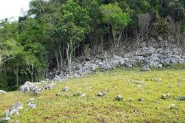 Development Land (Residential) for Sale in Moneague