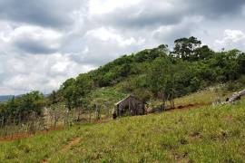 Development Land (Residential) for Sale in Moneague