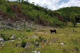 Development Land (Residential) for Sale in Moneague