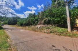 Development Land (Residential) for Sale in Red Hills