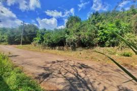 Development Land (Residential) for Sale in Red Hills