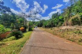 Development Land (Residential) for Sale in Red Hills