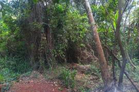 Development Land (Residential) for Sale in Red Hills