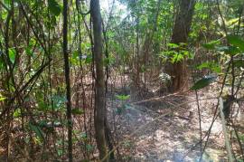 Development Land (Residential) for Sale in Red Hills