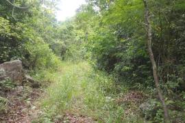 Development Land (Residential) for Sale in Mandeville