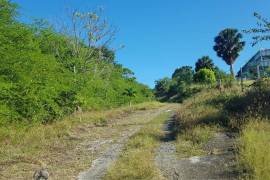 Development Land (Residential) for Sale in Cave