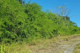 Development Land (Residential) for Sale in Cave