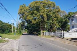 Development Land (Residential) for Sale in Cave