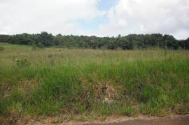 Development Land (Residential) for Sale in Hat Field