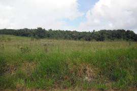 Development Land (Residential) for Sale in Hat Field