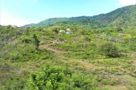 Development Land (Residential) for Sale in Porus