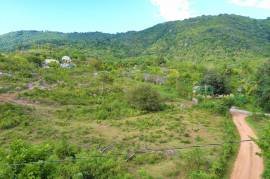 Development Land (Residential) for Sale in Porus