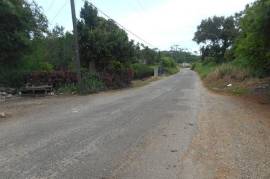 Development Land (Residential) for Sale in Mandeville