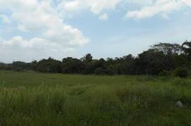 Development Land (Residential) for Sale in Mandeville