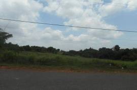 Development Land (Residential) for Sale in Mandeville