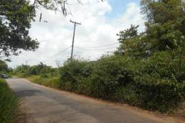 Development Land (Residential) for Sale in Mandeville