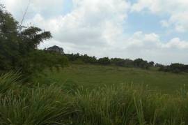 Development Land (Residential) for Sale in Mandeville