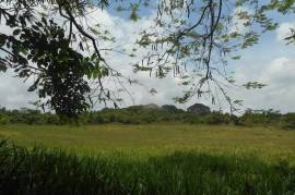 Development Land (Residential) for Sale in Mandeville