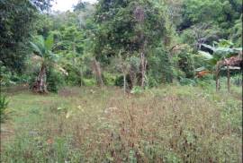 Development Land (Residential) for Sale in Gayle