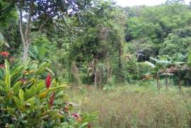 Development Land (Residential) for Sale in Gayle