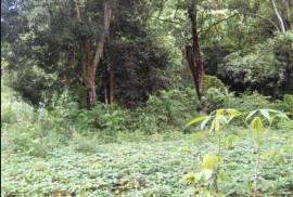 Development Land (Residential) for Sale in Gayle